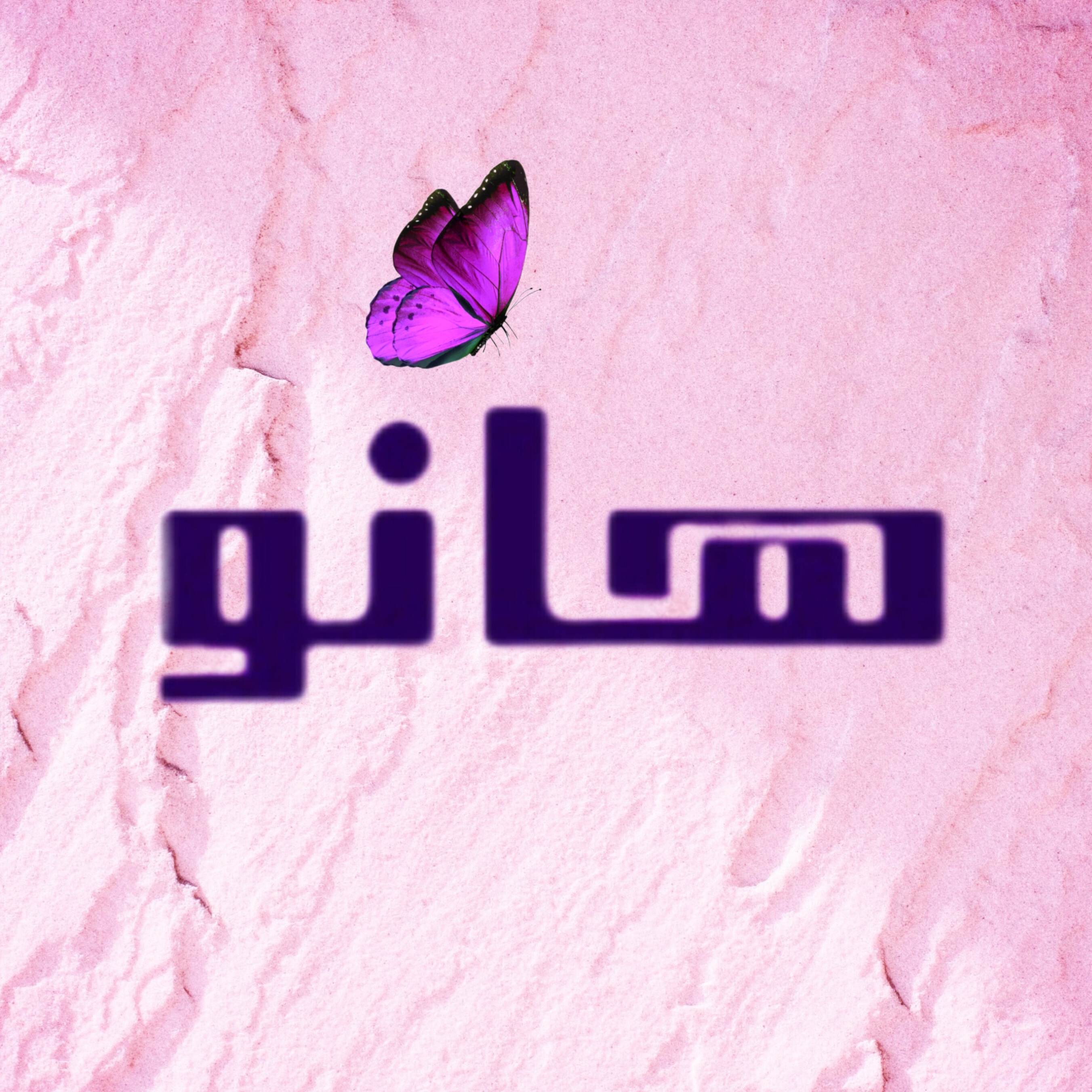 هانوشاپ